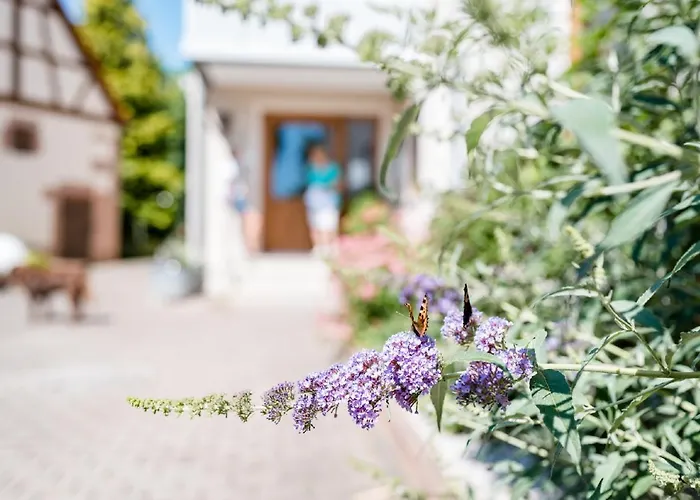 Appartementanlage Marianne * Merkendorf (Bavaria)