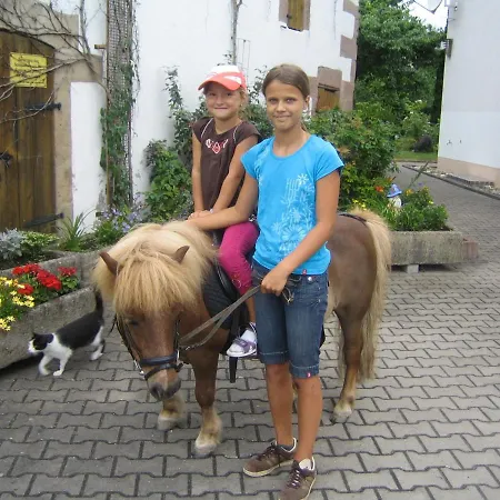 Appartementanlage Marianne Merkendorf (Bavaria)